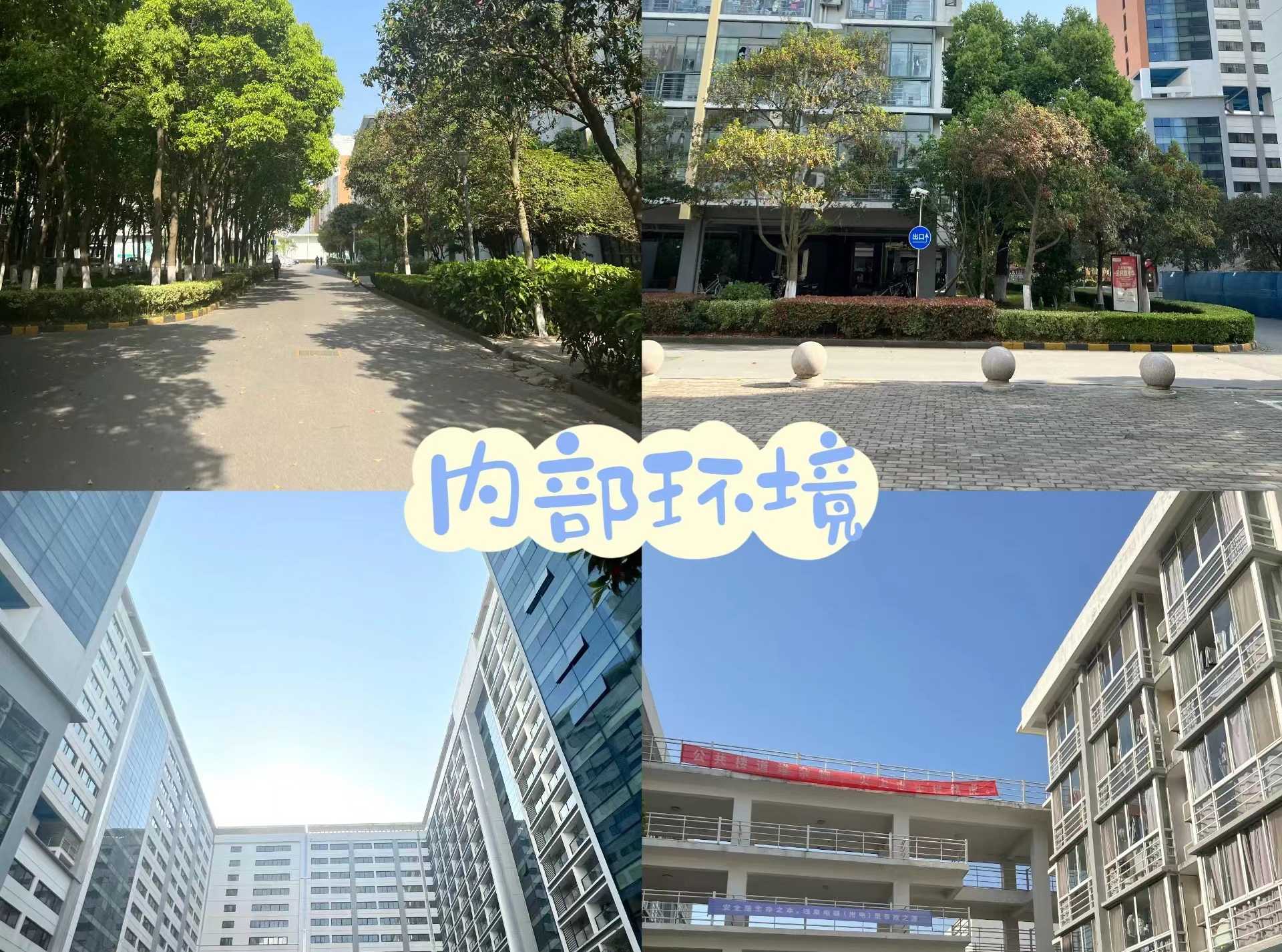 微信图片_2023051615173230.jpg