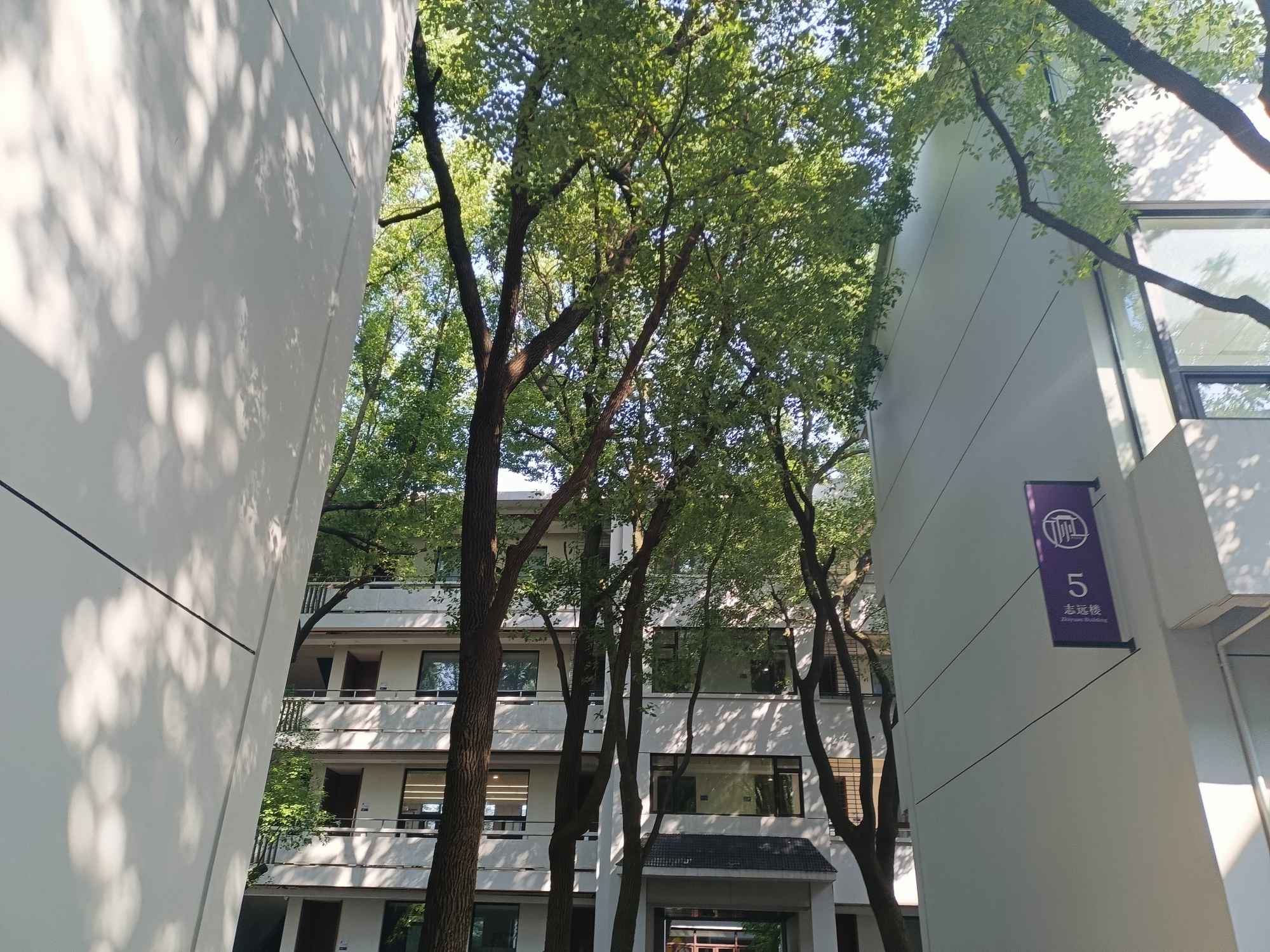 艺考生文化课必备锦囊丨掌握这些秘诀让你的文化课多考一百分