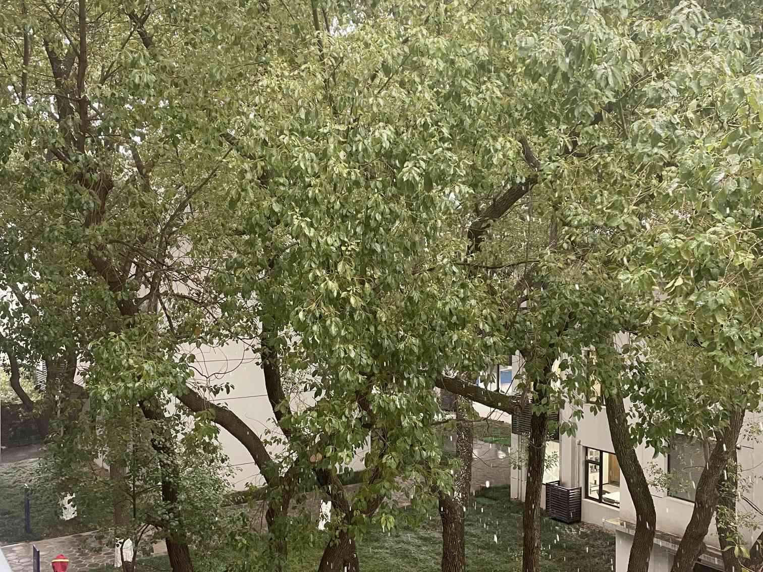 增加学习效率，让分数提升更快，复读生应该牢记以下要点！
